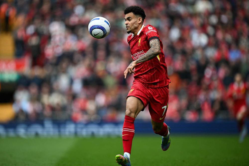 吸引了不少 吸引了不少